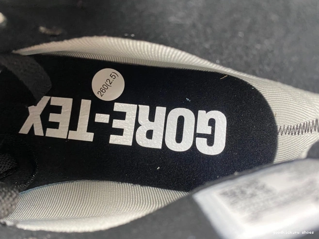 1 Air Element DB2889-500 Gore-Tex Jordan 0801